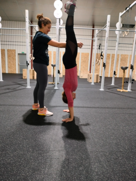 Cours Gym chez Forest Wolf